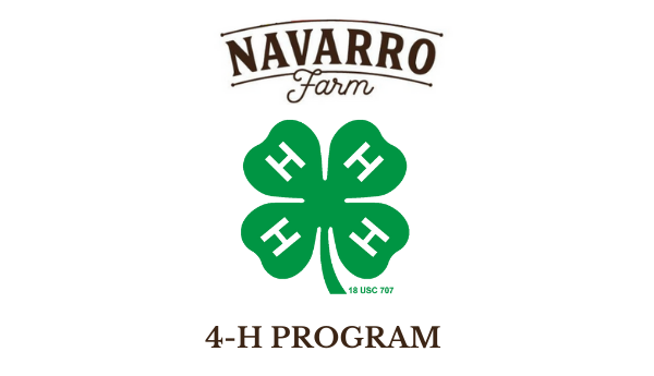 4-H