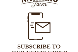 Newsletter icon