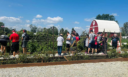 Volunteers at the farm