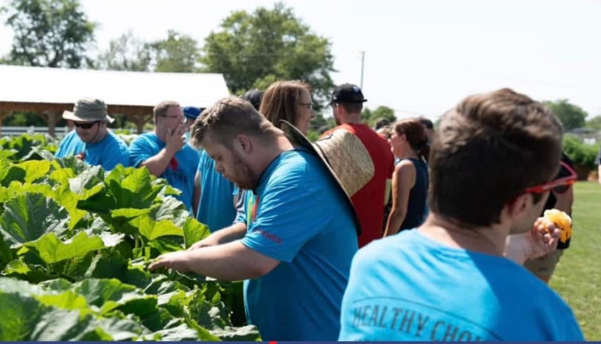 Navarro Farm farmers working, checking plants